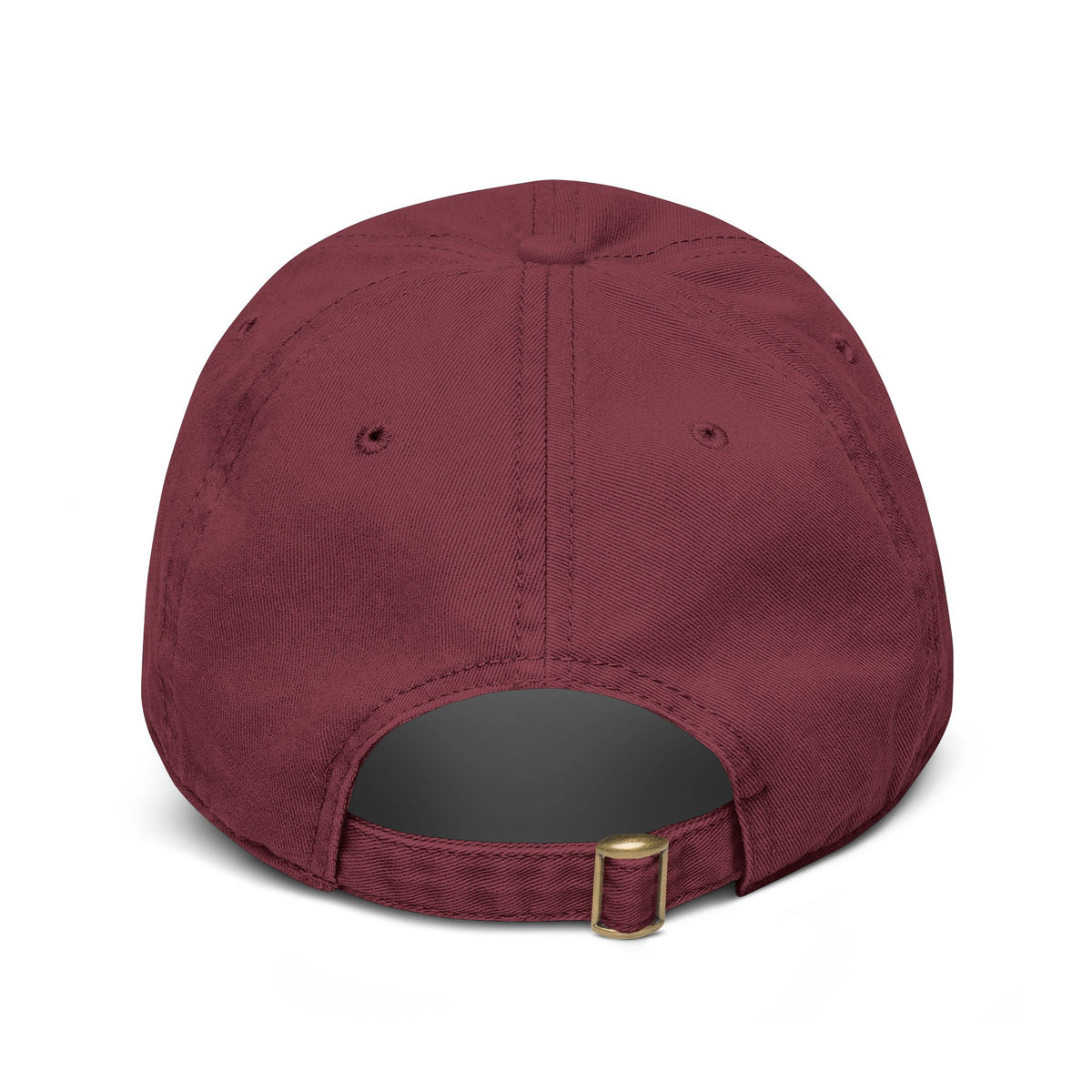 Hummingbird Desert Mountain Sunrise Black Garment Washed Baseball Cap Embroidery